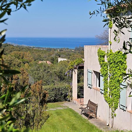 Villa vue mer dans nature protégée, plage à 1,5 km Cervione Exterior foto