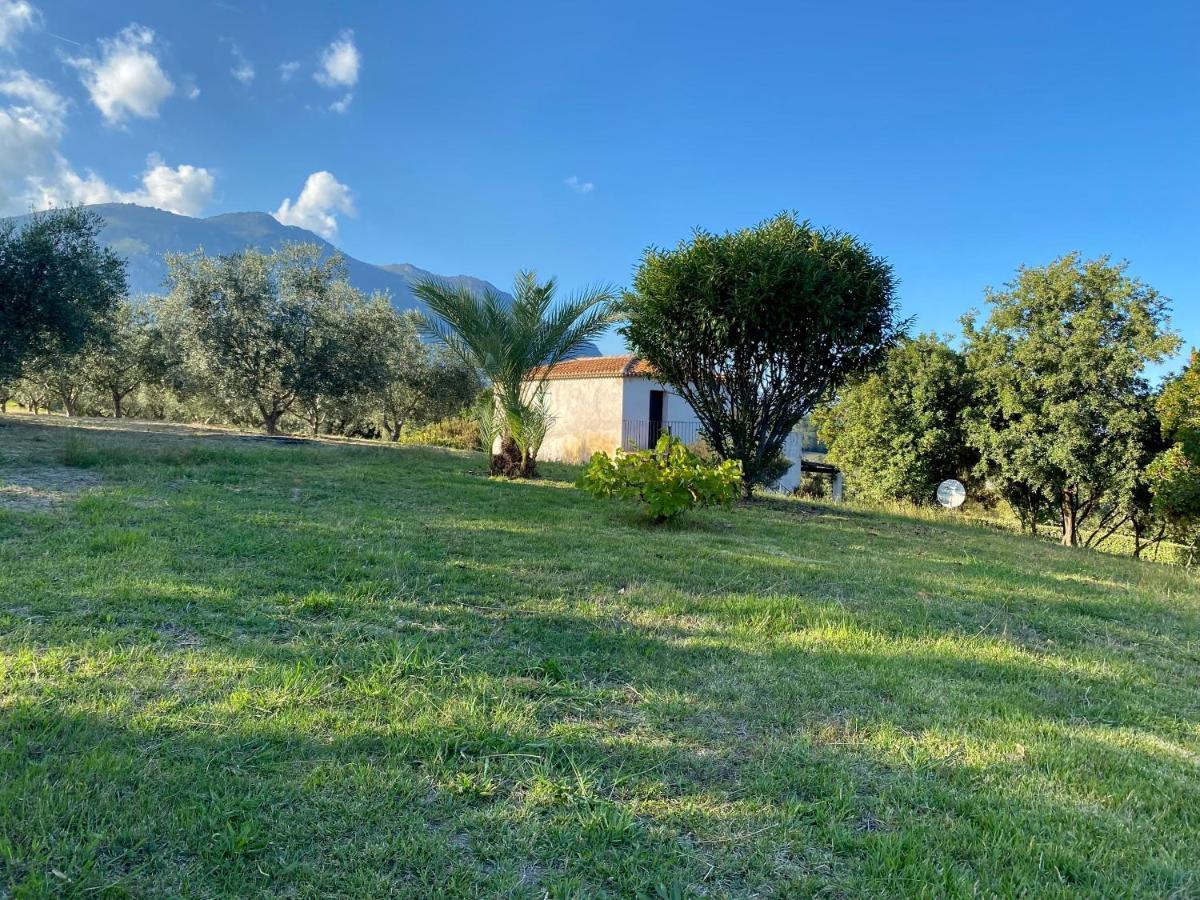 Villa vue mer dans nature protégée, plage à 1,5 km Cervione Exterior foto