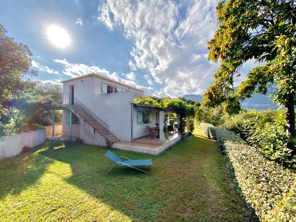 Villa vue mer dans nature protégée, plage à 1,5 km Cervione Exterior foto